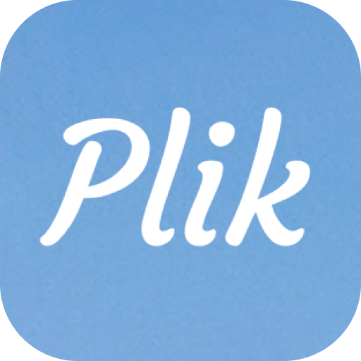 Plik